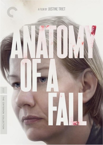 Anatomy of a fall = Anatomie d'une chute 