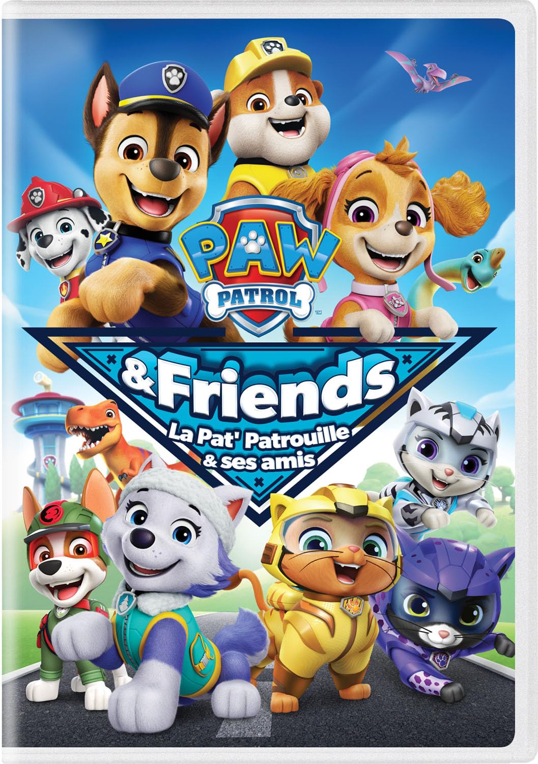 Paw patrol & friends 