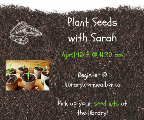 Plant Seeds with Sarah