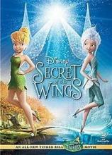 SECRETS OF THE WINGS